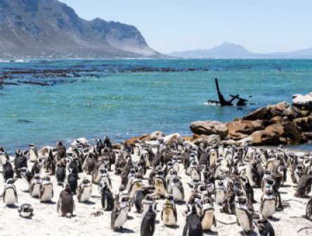 SILVESTR U OCEÁNU V JIŽNÍ AFRICE