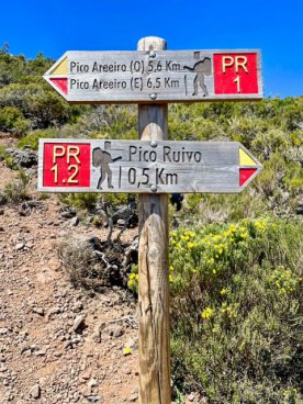 Madeira na Silvestra, odlet z Katovic