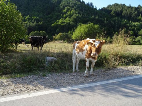 Poznávací zájezd Bulharsko letecky – neobjevené skvosty