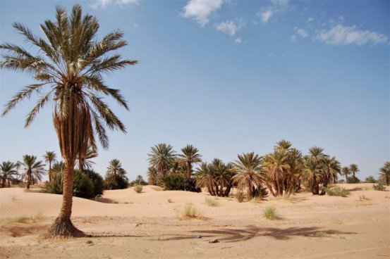 MAROKO - MARRÁKEŠ, FES, ATLAS A SAHARA