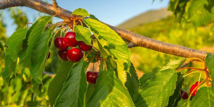Španělská Extremadura + ŘÍMSKÉ DĚDICTVÍ + GURMÁNSKÉ TRADICE REGIONU 