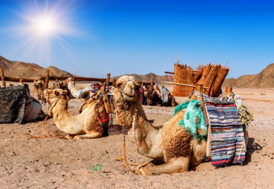 Poznávací zájezd Dubaj a Abú Dhabí, odlet z Prahy