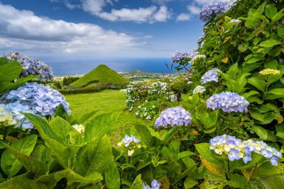 AZORSKÉ OSTROVY SAO MIGUEL A TERCEIRA - ostrovní idyla v Atlantiku