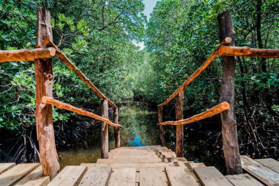 To nejlepší ze Zanzibaru + SAFARI V TANZANII + KOUPÁNÍ V INDICKÉM OCEÁNU 