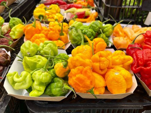 To nejlepší z Algarve + LISABON + SOLNÉ PÁNVE RIA FORMOSA A TRADIČNÍ KUCHYNĚ 