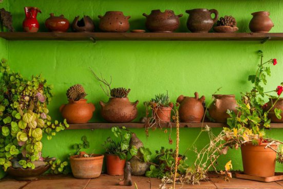 To nejlepší z ostrova La Gomera + TURISTIKA + SPECIALITY KANÁRSKÉ GASTRONOMIE 