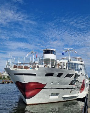 Poznejte krásy Dunaje s českým průvodcem a dopravou