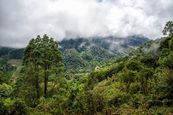 To nejlepší z Kostariky + NÁRODNÍ PARKY + KOUPÁNÍ V KARIBIKU 