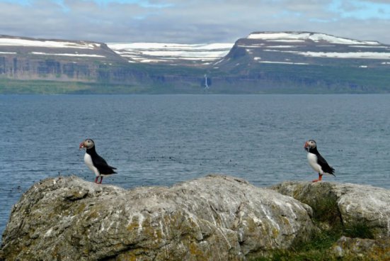 KOUZLA ČARODĚJNÝCH HOR A ZÁPADNÍCH FJORDŮ ISLANDU