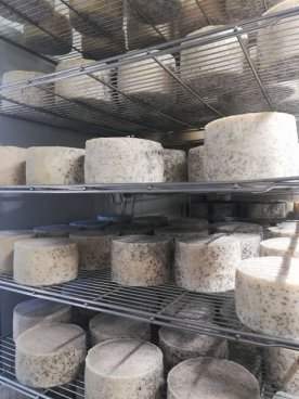 To nejlepší z Bilbaa + STAROBYLÁ VITORIA + GASTRONOMIE A TRADICE BASKŮ (letecky 