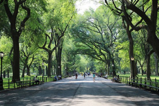 To nejlepší z New Yorku + PLAVBA K SOŠE SVOBODY + KOUPÁNÍ NA CONEY ISLANDU 