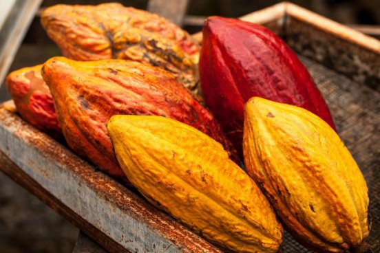 To nejlepší z Kostariky + NÁRODNÍ PARKY + KOUPÁNÍ V KARIBIKU 