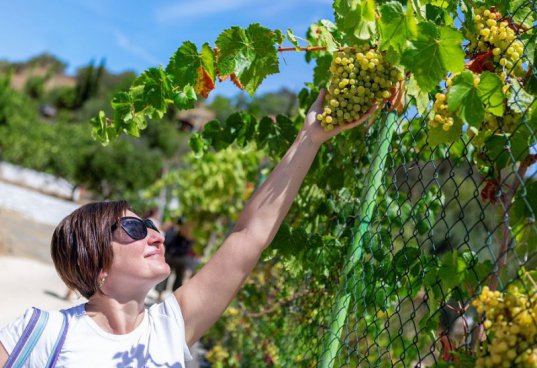 To nejlepší z Algarve + LISABON + SOLNÉ PÁNVE RIA FORMOSA A TRADIČNÍ KUCHYNĚ 