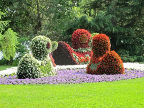 Květinový ostrov Mainau, nejstarší zubačka na Rigi, perly Bodamského jezera