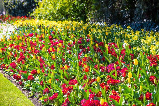 To nejlepší z Londýna + WINDSOR + WINCHESTER + STONEHENGE 