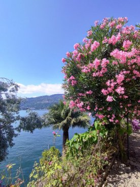 Švýcarské velikány, kanton Ticino, Lago Maggiore