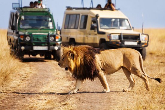 KEŇA – SVĚTOVÉ SAFARI V ZEMI MASAJŮ