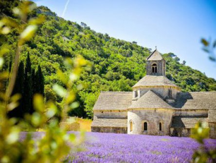 To nejkrásnější z Provence + CANNES 