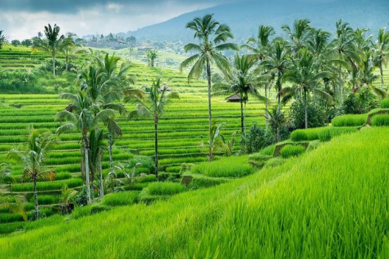To nejlepší z Bali + VULKÁN BROMO NA JÁVĚ + LEMBONGSKÉ OSTROVY 