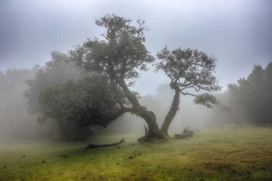 Madeira na Silvestra, odlet z Katovic