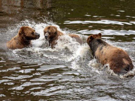 PLAVBA NA ALJAŠKU ze Seattlu a zpět
