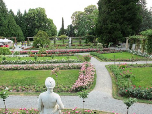 Květinový ostrov Mainau, nejstarší zubačka na Rigi, perly Bodamského jezera